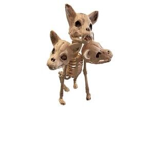 3 Headed Skeleton Dog 12" Cerberus Halloween Decoration Prop BoxAJ